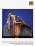 Page: - 223 | Architectural Digest