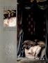 Page: - 23 | Architectural Digest